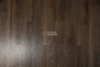 Tarkett Funky House MIKE фото 1 | FLOORDEALER